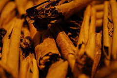 Cannelle vraie cinnamomum verum