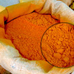 Curcuma (photo de vilma bharatan)