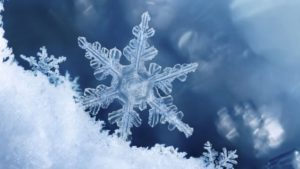 hiver Refroidissements rhume traitement